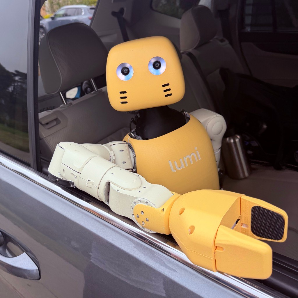 Lumi riding in the back seat of a car